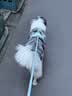 MIKI PAD狗狗牵引绳防爆冲狗胸背带遛狗绳中大型犬边牧萨摩耶背心式狗链子 柠檬黄【轻盈透气】+1.5m牵引绳 L 脖围50-65cm 建议28-45斤 实拍图
