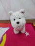 babycare&bct儿童毛绒玩具狗电子宠物哈基米玩偶节日生日新年礼物西高地犬 实拍图