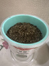 九月生草莓盆栽种子DIY趣味种植盆栽花卉植物幼儿园儿童观察花盆 实拍图