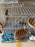 憨憨宠兔子笼 兔笼加粗加密家用兔子专用笼子可折叠兔笼子特大号养殖笼 600# 白色可折叠加密双层兔子笼 实拍图