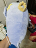 babycare婴儿玩偶安抚枕多功能哄睡枕侧睡靠背档枕沃伊鲸鱼45*23*15-0-1岁 实拍图