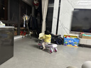 babycare扭扭车儿童溜溜车宝宝滑滑摇摆扭扭车万向轮防侧翻音乐玩具乐趣 【21首声光音乐】黎空紫 实拍图