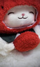 名创优品（MINISO）羊咩咩小羊站姿公仔毛绒玩具玩偶抱枕生日儿童节礼物女 莓有烦恼 实拍图