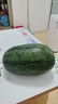 京鲜生 黑美人西瓜 1粒装 净重6-7斤 水果源头直发 实拍图