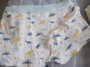 俞兆林儿童内裤男童不夹屁屁中大童平角短裤男孩宝宝小童四角裤纯棉底裤 实拍图