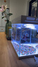 森森（SUNSUN）超白鱼缸一体缸自循环客厅水族箱桌面家用懒人免换水小型金鱼缸 超白HEJ300标配 带滤材+棉 实拍图