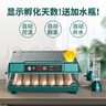 威振 孵化器全自动家用型芦丁鸡孵化机鸭鹅鸽孵化箱智能小型孵蛋器 24枚全自动双电【送加水瓶】 实拍图