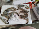 首鲜道黑虎虾超大虾类大虾生冻老虎虾对虾鲜虾海虾生鲜 虾类 25-30只/盒 1kg(净重)  家庭款 实拍图