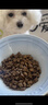 NOW FRESH【进口小型犬狗粮】全价四叶草狗粮柯基柴犬博美泰迪雪纳瑞犬粮 火鸡鱼鸭味6磅 2.72kg 实拍图