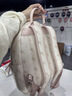 纽芝兰（NUCELLE）双肩包女2026新款轻奢时尚背包大学生书包飞马女包生日礼物送女生 实拍图