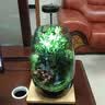 桌面苔藓微景观生态瓶盆栽创意办公室植物生态缸盆景植物摆件 黑神话悟空景观黄杨版+定时植物 晒单实拍图