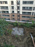 叶之静苹果树苗盆栽地栽当年结果南方北方种植苹果苗嫁接四季红富士苗 6年苗结果多【备注品种】 81cm(含)-110cm(含) 实拍图