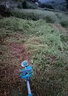 电悦日本大功率电动割草机充电式打草机家用锂电池草坪机农用除草机 1288TV大功率高配款二电一充 实拍图