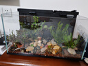 米家小米米家智能生态鱼缸还原自然生态补仓一次三月无忧出差旅行必备 实拍图