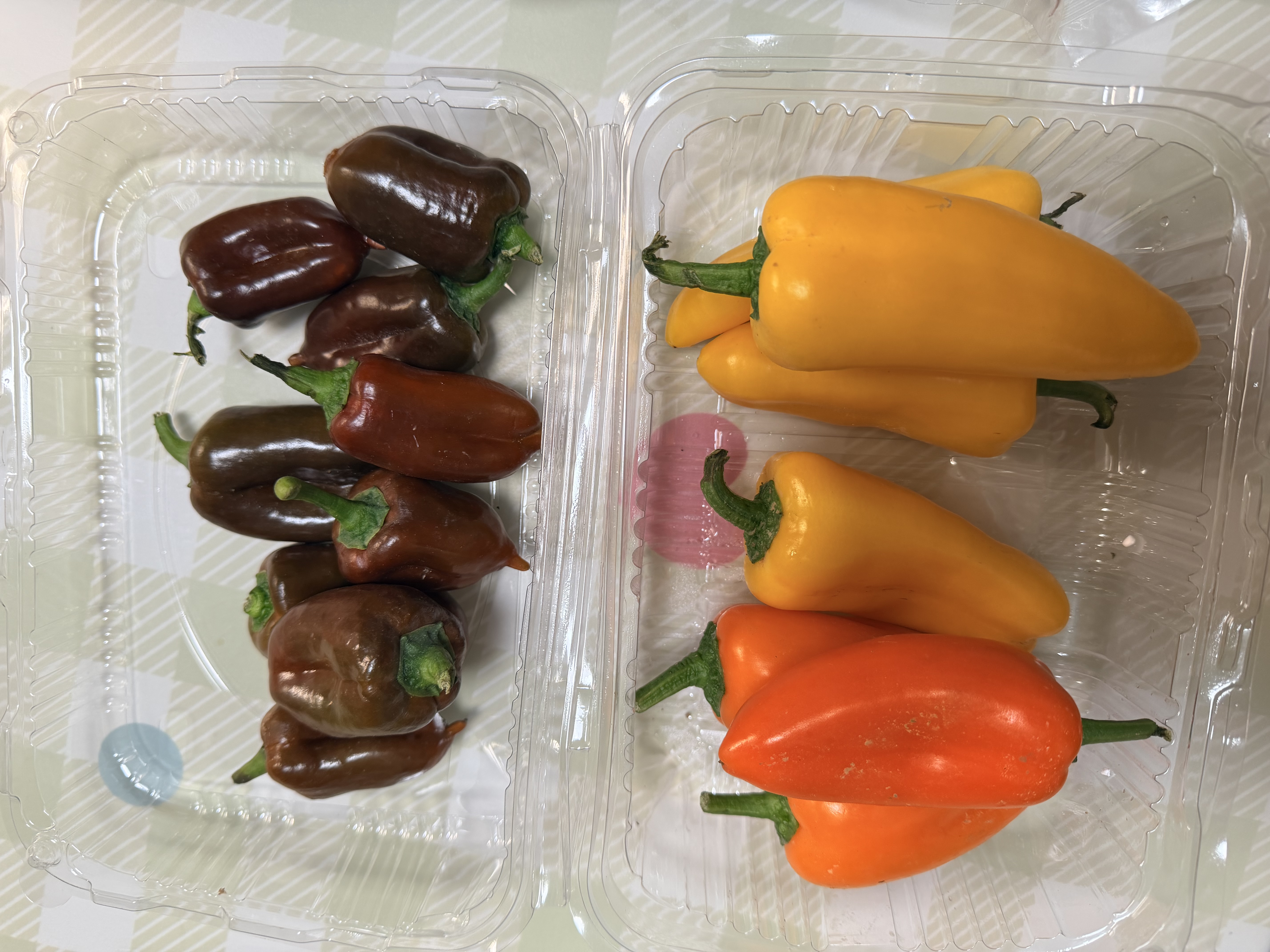 京鲜生山东迷你水果椒净重1斤单果20g+ 生吃即食 彩椒 蔬菜源头直发包邮 实拍图