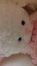 维尼小象小羊玩偶娃娃毛绒玩具公仔抱枕女生女孩六一儿童节礼物生日礼物 实拍图