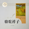 骆驼祥子+海底两万里 人教版 语文名著精选套装 七年级下 实拍图