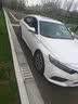 利奥玲珑汽车轮胎225/50R17 98W P88 适配雅阁/凌度/英仕派 实拍图