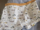 俞兆林儿童内裤男童不夹屁屁中大童平角短裤男孩宝宝小童四角裤纯棉底裤 实拍图