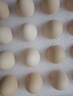 德青源PLUS联名款A+级鲜鸡蛋32枚2.74斤无抗生素 源头直发 1件包邮 实拍图