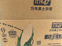 北纬47度水果玉米4斤(约220g*10根) 开袋即食玉米棒真空包装直抽 低脂低GI 实拍图