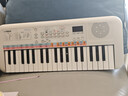 雅马哈（YAMAHA）PSS-E30 电子琴多功能初学者音感小白琴生日儿童节礼物标配+琴包 实拍图