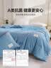 海澜之家（HLA）A类抗菌21%大豆纤维夏凉被子夏季空调被可机洗 1.5*2m 蓝色 实拍图