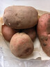 【真便宜】云南红皮土豆高原黄心土豆马铃薯红皮黄心洋芋减脂蔬菜 净重3斤大果 【单果150g+】 实拍图