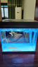 森森（SUNSUN）超白鱼缸一体缸自循环客厅水族箱桌面家用懒人免换水小型金鱼缸 超白HEJ250标配 带滤材+棉 实拍图