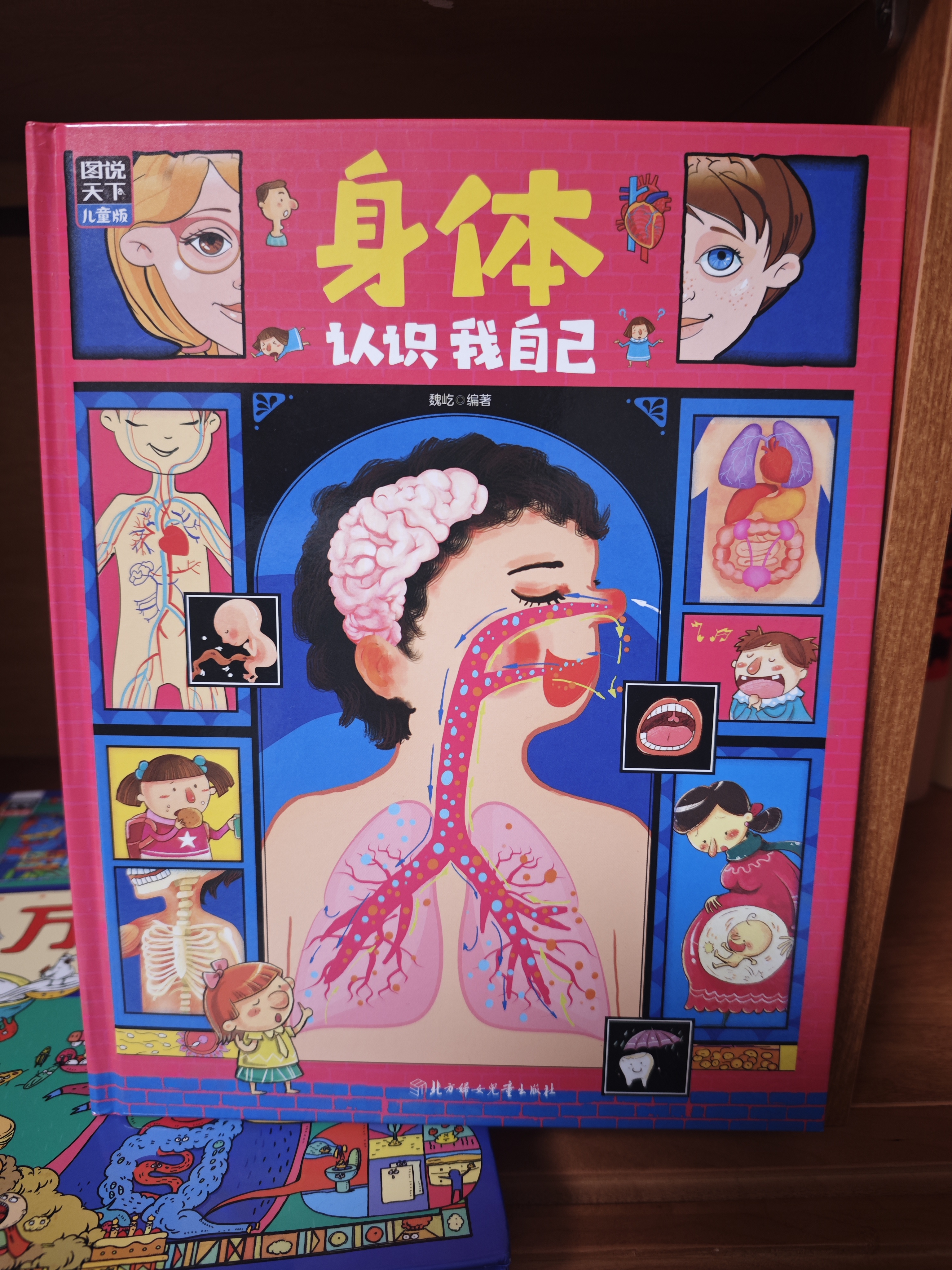 身体 认识我自己 告诉孩子男孩和女孩的区别 幼儿性别认知科普绘本  实拍图