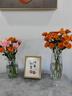 北欧轻奢玻璃花瓶透明客厅高级感插花水养鲜花装饰精致花器摆件 【透明组合】20高+27高璀璨 实拍图