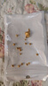 御邪黄金光面金珠转运珠女足金999脚链隔珠散珠手链520礼物情人节礼物 4mm[光面]0.05g标准版 实拍图