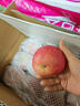 京鲜生 烟台红富士苹果 净重10斤 单果190g以上 礼盒装 生鲜水果 实拍图