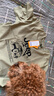 JEEP吉普260G重磅纯棉高端男士短袖T恤男2026夏季新款宽松潮牌体恤男 实拍图