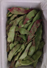 京鲜生山东新鲜油豆角3斤装新鲜蔬菜源头直发包邮 实拍图