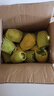 卉双新鲜小台芒新鲜水果10斤当季现摘小台农水果生鲜芒果整箱产地直发 小台芒 带箱9-10斤大果 实拍图