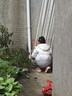 小猪班纳（PEPCO）儿童男女孩雪地靴室内外居家加绒加厚软底包跟保暖棉拖鞋 粉色 32 实拍图