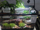 阔庭（KUOTING）鱼缸懒人鱼缸家用客厅办公室水培吊篮金鱼缸过滤鱼缸黑色款 实拍图