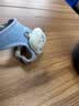 欢宠网猫咪牵引绳猫绳胸背带遛猫绳溜猫绳子背心宠物防挣脱逃脱背带链子 实拍图