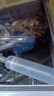 森森鱼缸换水神器电动抽水器吸便器吸粪器洗沙器吸污器清洁工具 【全铜电机高扬程】20W 1000L/H 带2米水管 实拍图