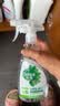 滴露（Dettol）消毒液喷雾马桶鞋子杀菌除臭 冰箱清洁除菌去味喷雾 浴室除霉清洁 【冰箱清洁除菌】除菌喷雾500ml 实拍图