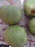 绿宝石甜瓜小香瓜蜜脆甜瓜头茬新鲜应当绿皮瓜水果整箱礼盒生鲜 9个果（单果150g-200g） 实拍图