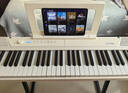 特伦斯（Terence）C2自动挡钢琴初学者弹唱琴折叠彩虹便携式88键电钢琴智能电子乐器 实拍图