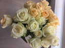 京东鲜花玫瑰花随机颜色20枝(1-2种颜色)40cm基地鲜切花生活花束源头直发 实拍图