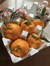 京地达四川春见耙耙柑礼盒 8斤特大果90mm+粑粑柑新鲜水果年货礼盒包邮 实拍图