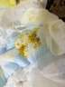 babycare一整夜纸尿裤宝宝婴儿夜用大吸量透气尿不湿bbc夏日尿片 L 1包 18片 迷你装【体重9-14KG】 实拍图
