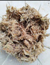 德沃多水苔约12L(特级)营养土爬宠乌龟冬眠蝴蝶兰君子兰花苔藓种植盆栽 实拍图