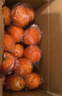 京觅重庆奉节脐橙9斤净重橙子精选果220g起 新鲜现摘 水果源头直发 实拍图