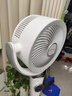 艾美特（AIRMATE）【小暴风PRO】空气循环扇家用大风力摇头电风扇卧室安静轻音小风扇桌面台式节能落地扇电扇 X231 实拍图