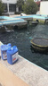 疯狂石头亚甲基蓝3.4L装 鱼缸水族箱观赏鱼锦鲤净化溶液 实拍图